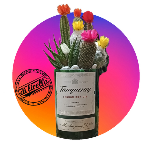 🌵 Fioriera Artigianale Tanqueray – Cactus & Design Riciclato