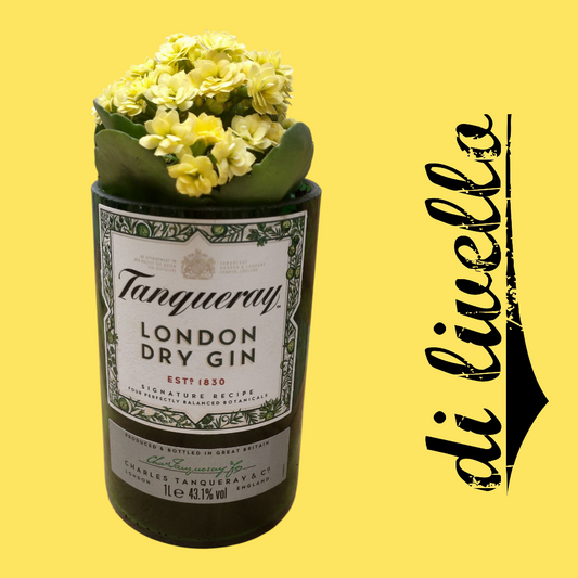 Vasi Gin & Drink Collection